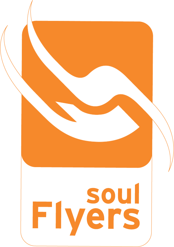 Soul Flyers